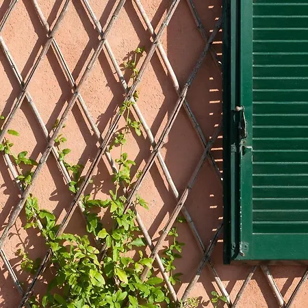 Il Grifo - Cozy House, Wonderful View